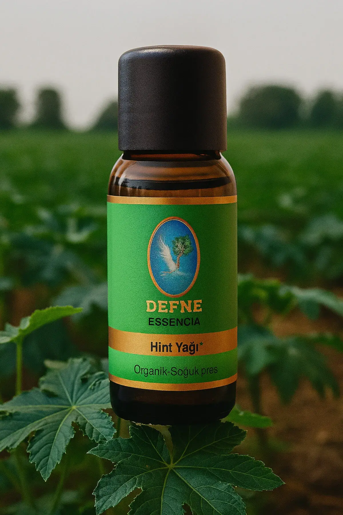 NU-KA DEFNE ESSENCIA Hint Yağı* Organik %100 Sabit Yağ