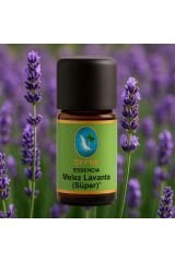 Melez Lavanta-Süper* Organik %100 Saf Uçucu Yağ