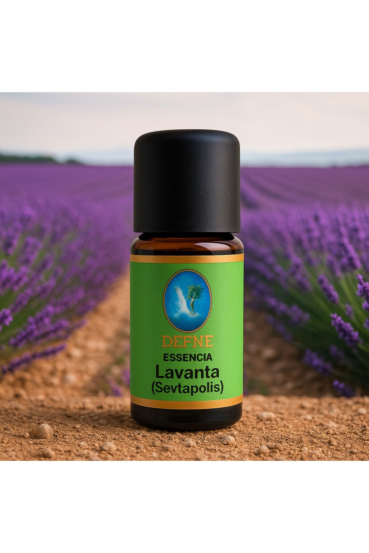 Lavanta (Sevtoplois) Geleneksel %100 Saf Uçucu Yağ