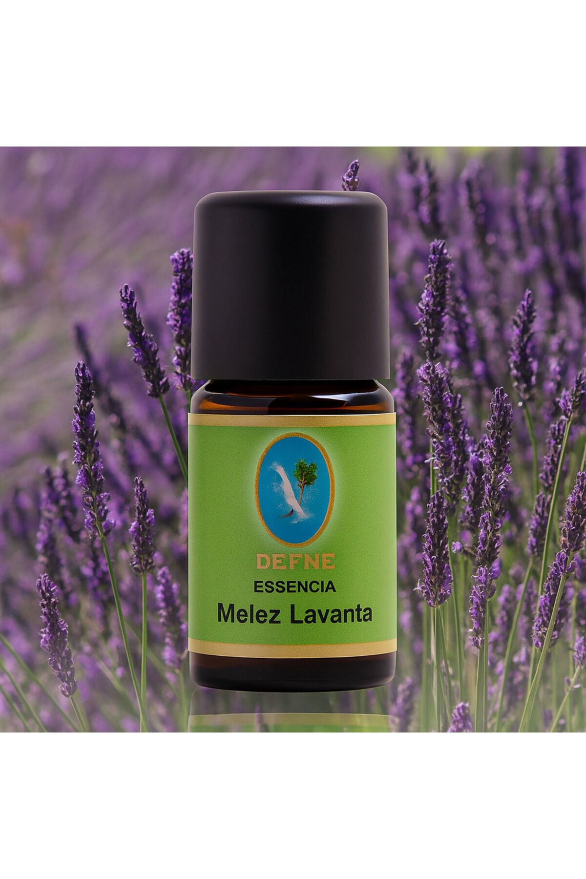 Melez Lavanta Geleneksel %100 Saf Uçucu Yağ 100ml (Sprey)