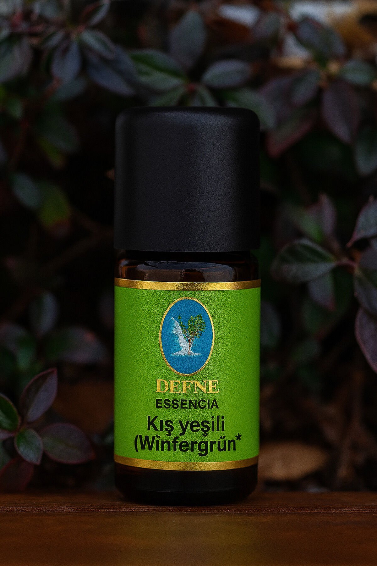 Kış Yeşili* Organik (Wintergrün) %100 Saf Uçucu Yağ