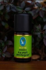 Kış Yeşili* Organik (Wintergrün) %100 Saf Uçucu Yağ