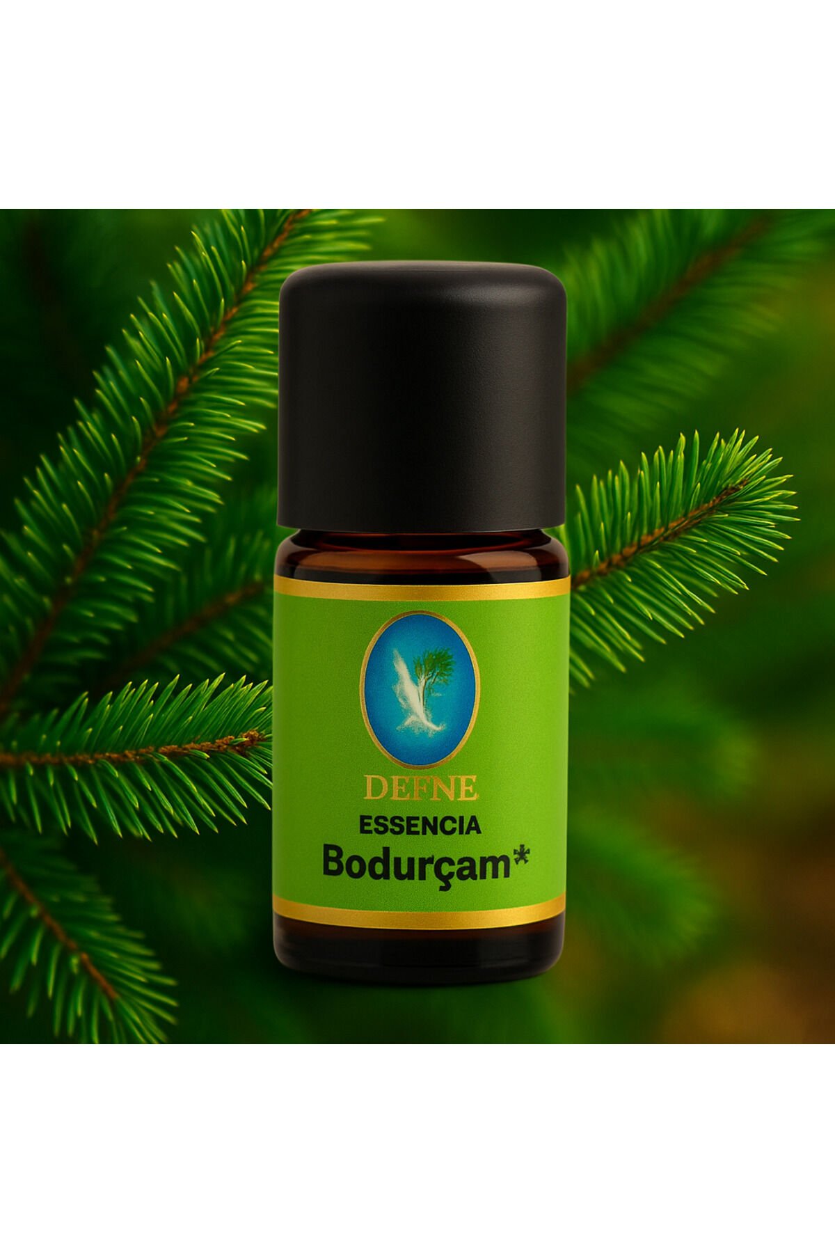 Bodur Çam* Organik %100 Saf Uçucu Yağ
