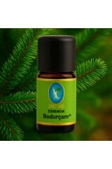Bodur Çam* Organik %100 Saf Uçucu Yağ