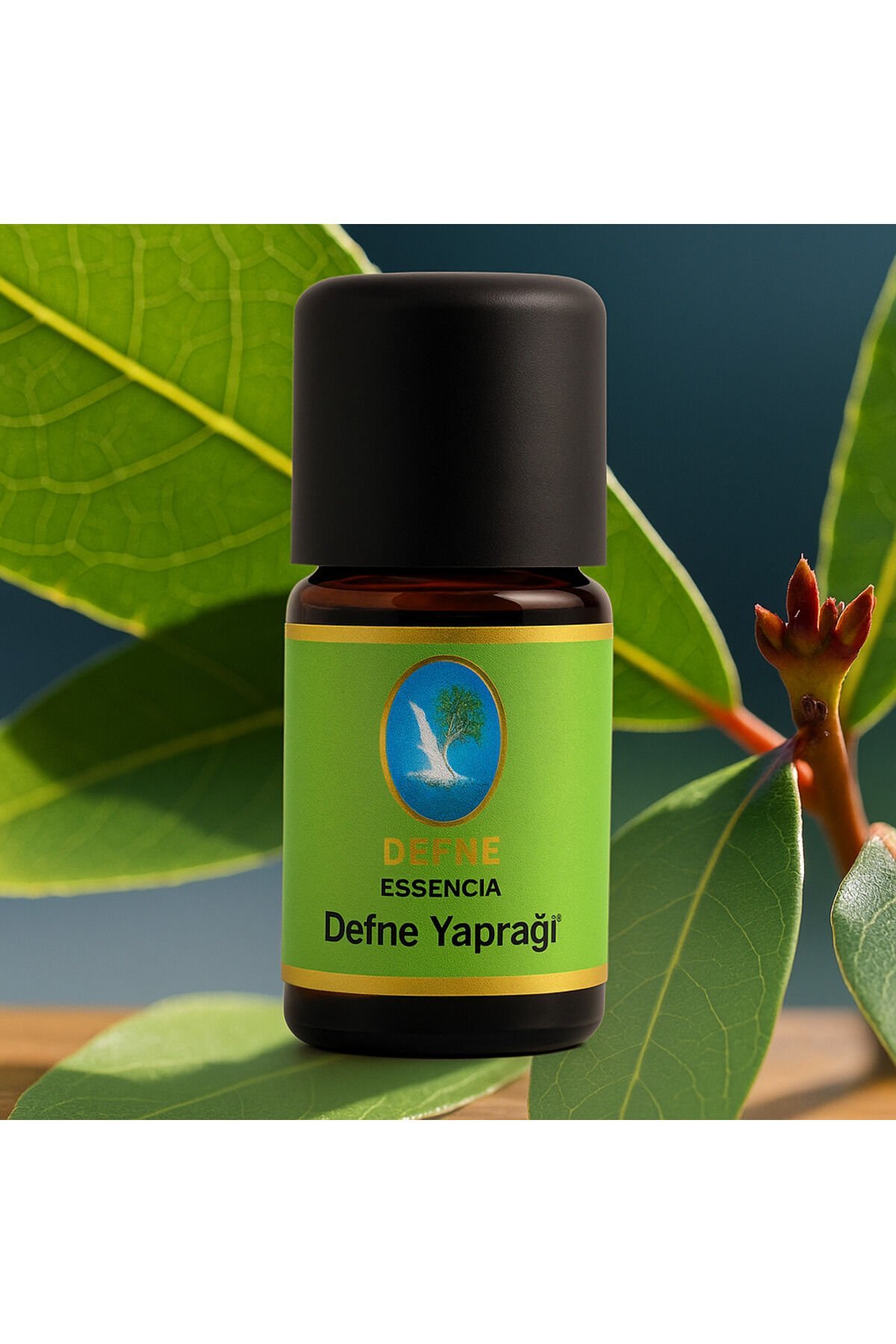 Defne Yaprağı Geleneksel %100 Saf Uçucu Yağ