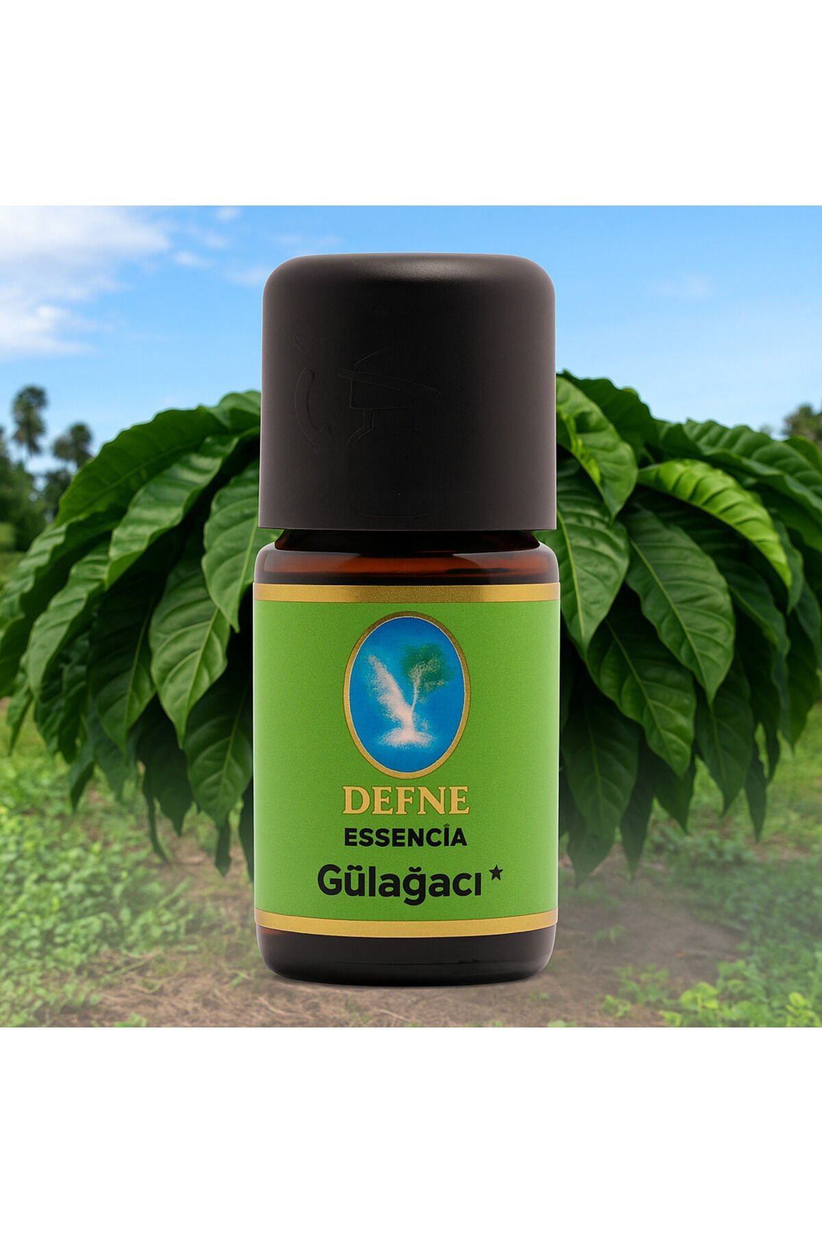 Gül Ağacı* Organik %100 Saf Uçucu Yağ