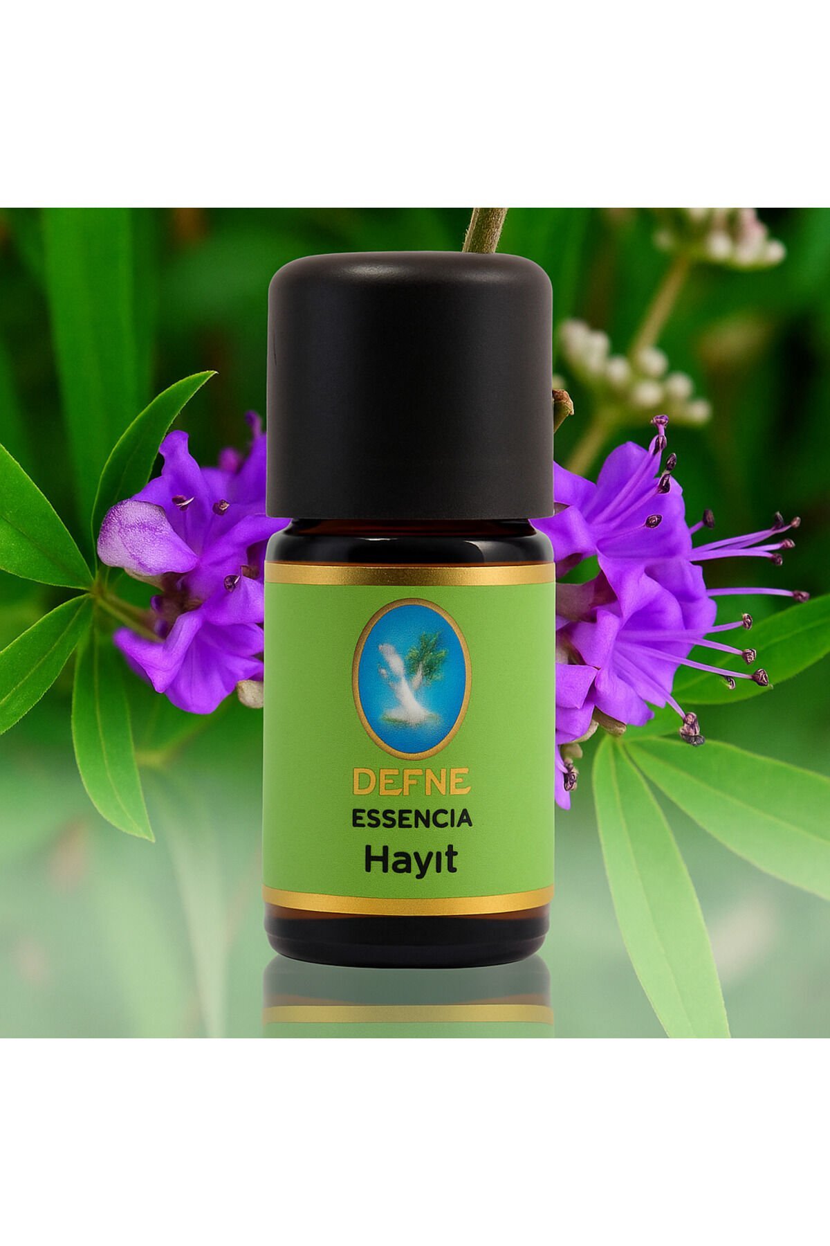 Hayıt Geleneksel %100 Saf Uçucu Yağ