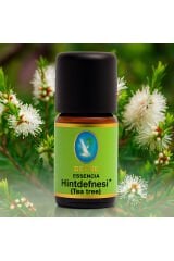 Hint Defnesi* Organik (Tea Tree) %100 Saf Uçucu Yağ