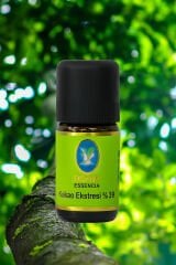 Kakao Ekstresi %39* Organik %100 Saf Uçucu Yağ