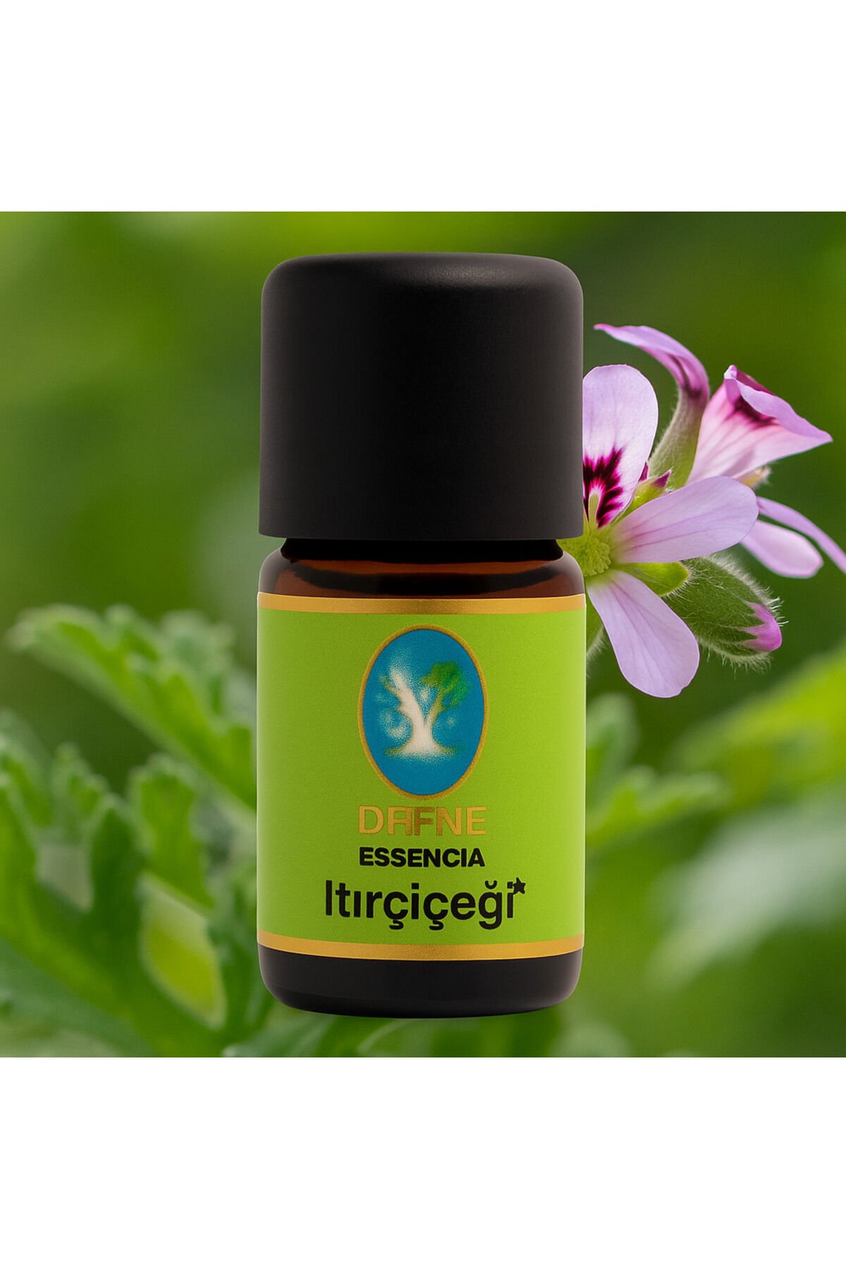 Itır Çiçeği (Rosat)* Organik %100 Saf Uçucu Yağ