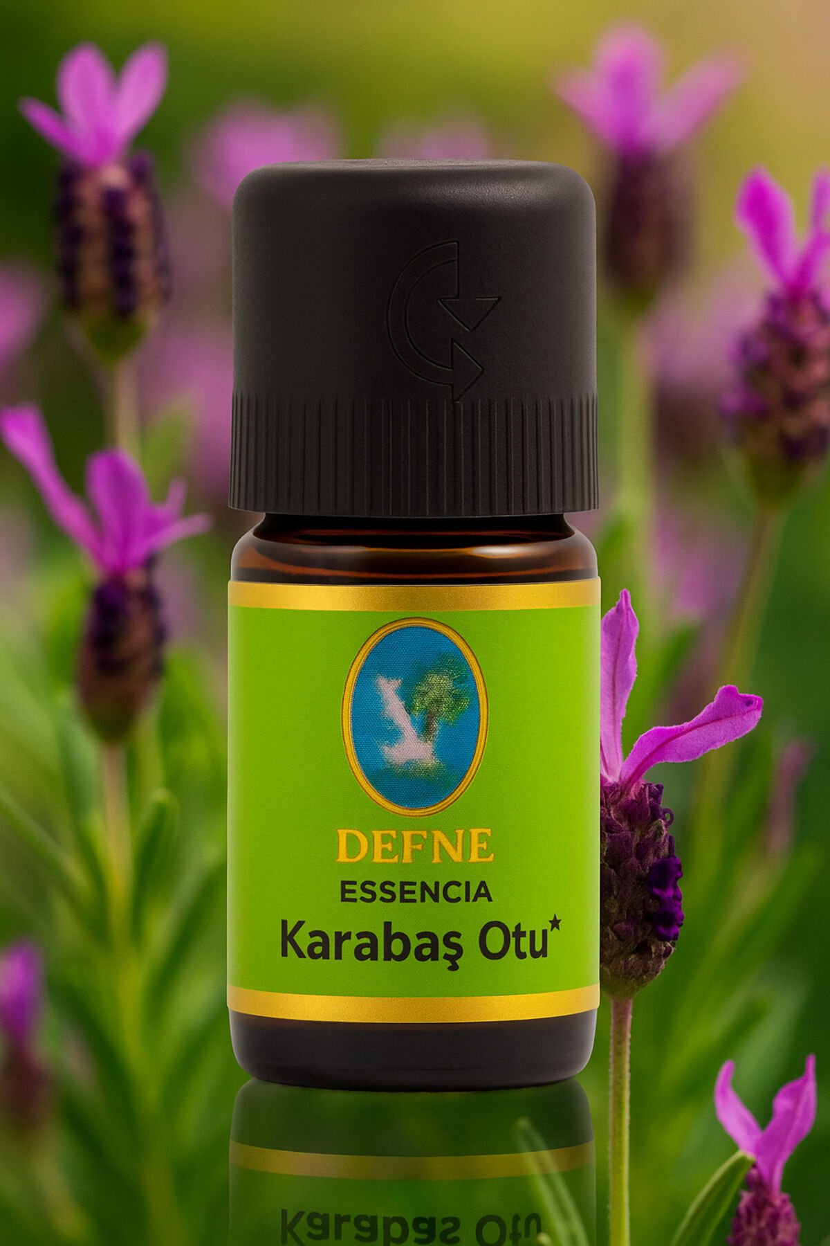 Karabaş Otu* Organik %100 Saf Uçucu Yağ