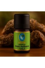 Siam Asilbenti %50* Organik %100 Saf Uçucu Yağ