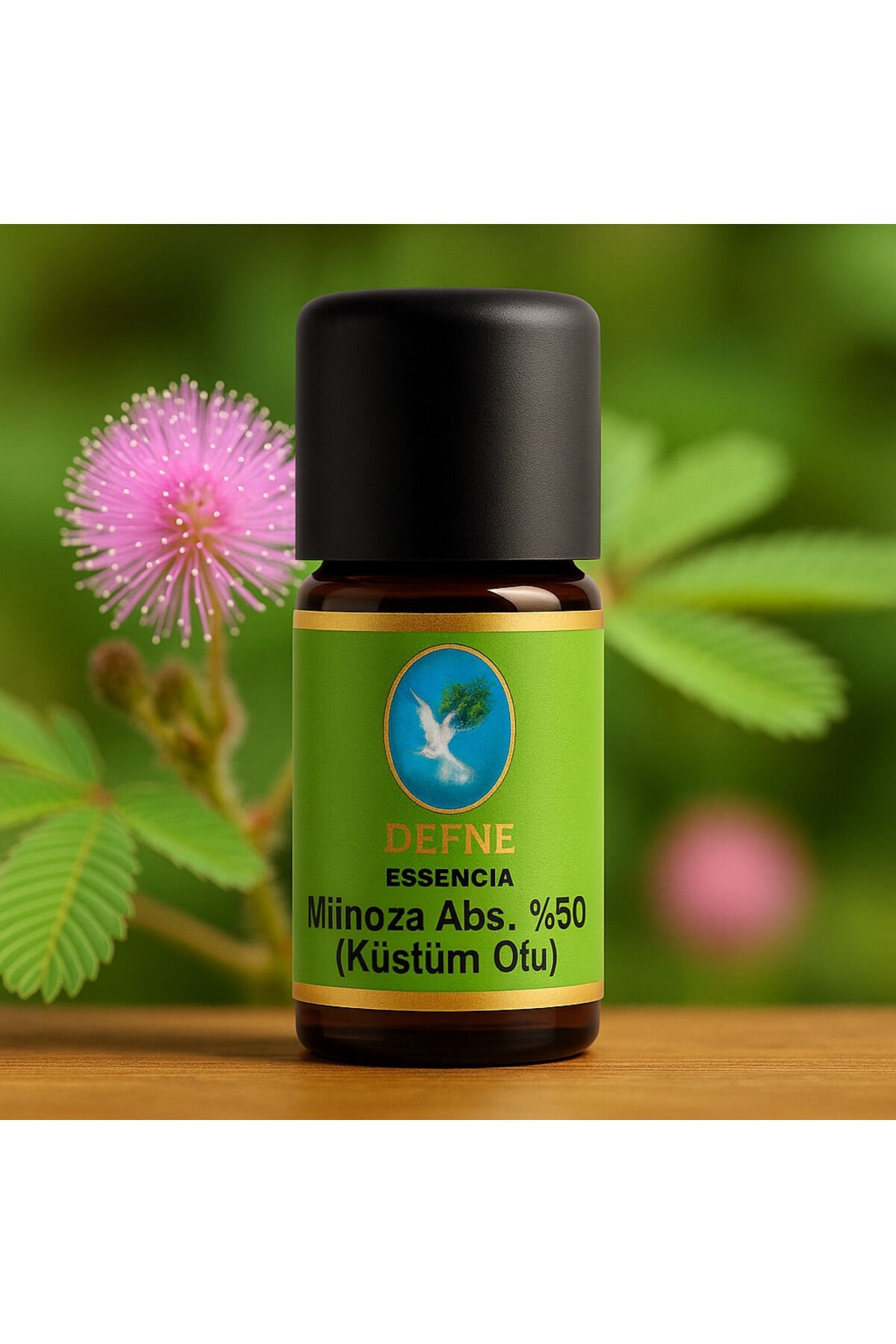 Mimoza (Küstümotu) Abs. %50 Geleneksel %100 Saf Uçucu Yağ