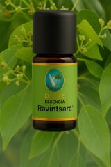 Ravintsara* Organik %100 Saf Uçucu Yağ