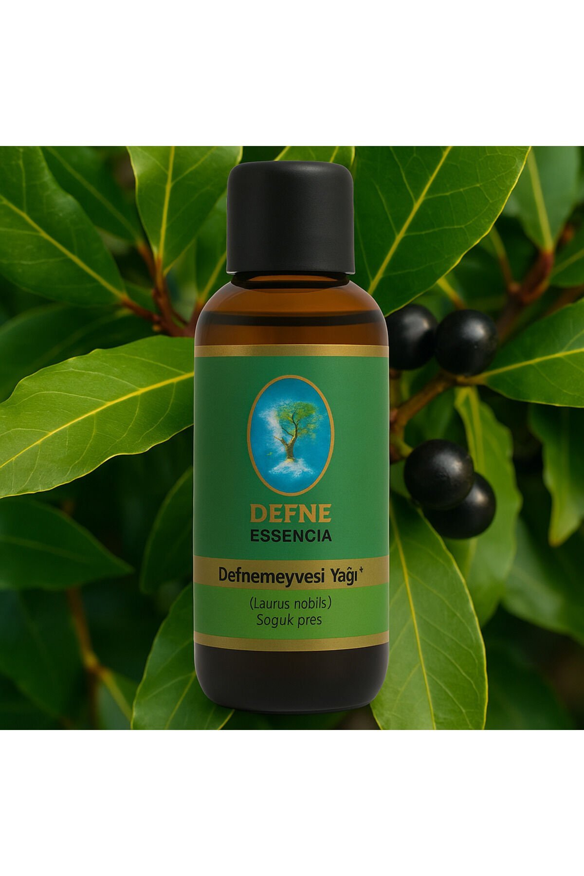 Defne Yağı - Geleneksel %100 Saf Sabit Yağ