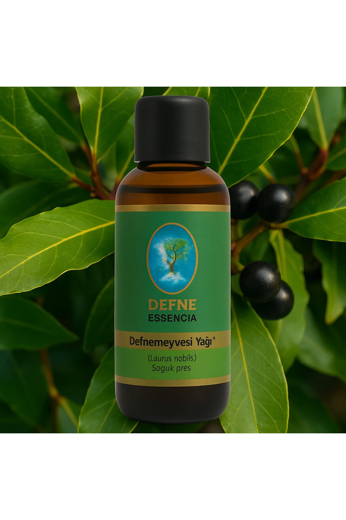 Defne Yağı - Geleneksel %100 Saf Sabit Yağ