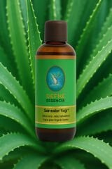 Sarısabır Yağı* Organik %100 Saf Sabit Yağ