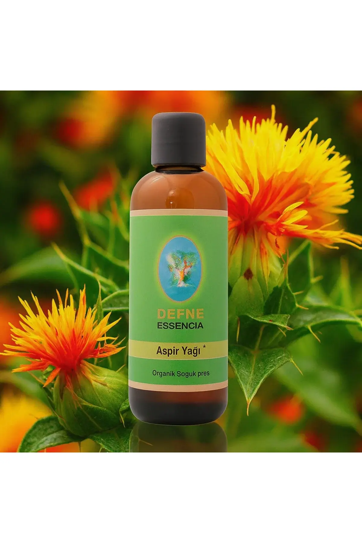 Aspir Yağı – Soğuk Pres • Geleneksel • Gıda Amaçlı