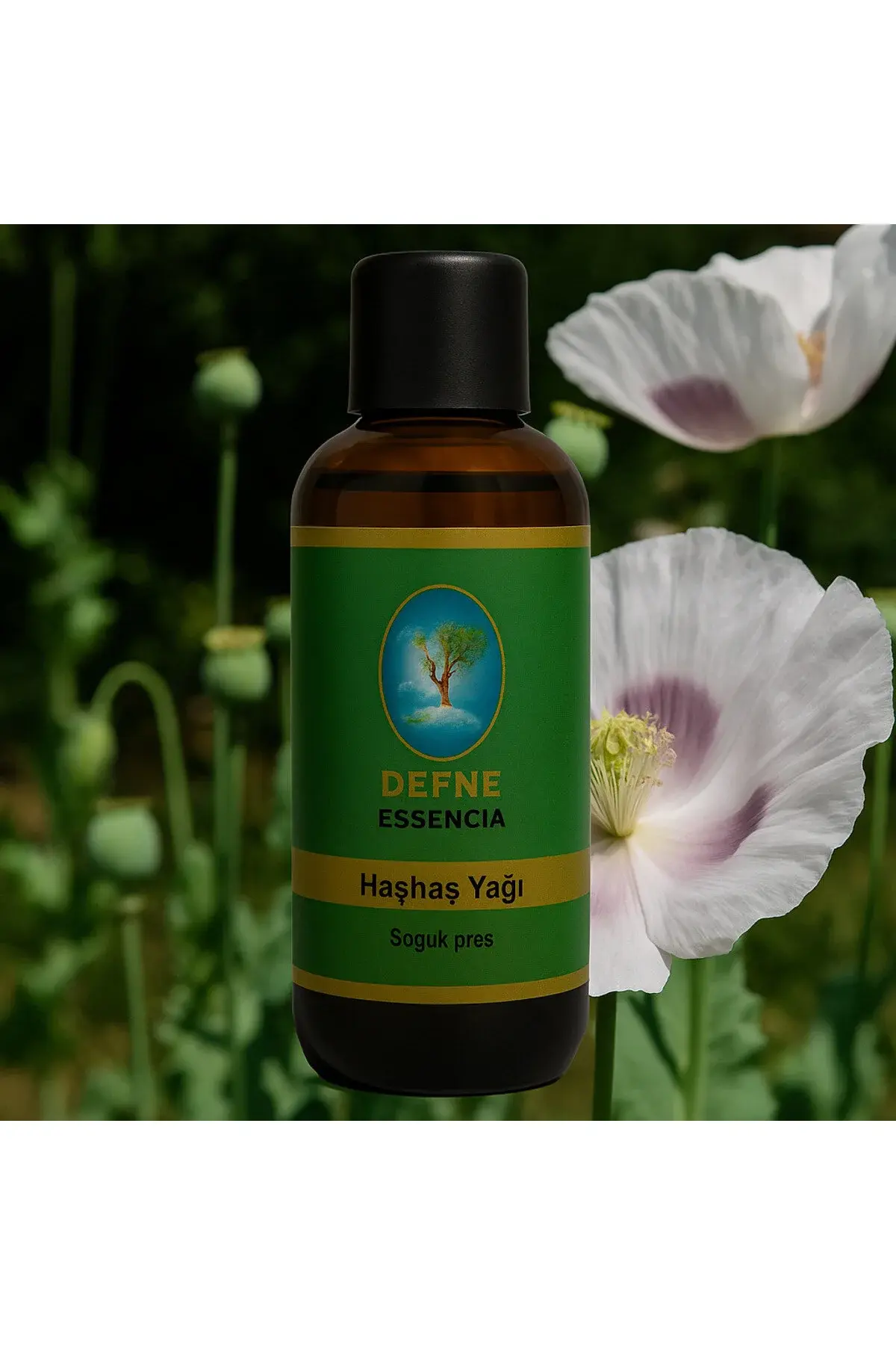 Haşhaş Yağı – Soğuk Pres • Geleneksel • Gıda Amaçlı